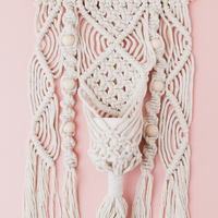The Macramé Plant Hanger Craft Kit