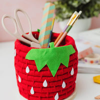 The Strawberry Rope Pot Craft Kit
