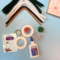 Kids Craft Kit Subscription (Digital Instructions)