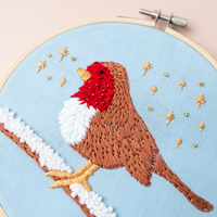 The Stitched Robin Hoop Hanger
