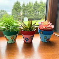 Terracotta Plant Pot Kit For Kids
