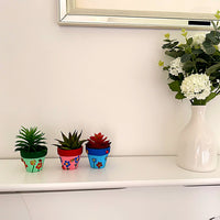 Terracotta Plant Pot Kit For Kids (Digital Instructions)
