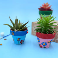 Terracotta Plant Pot Kit For Kids
