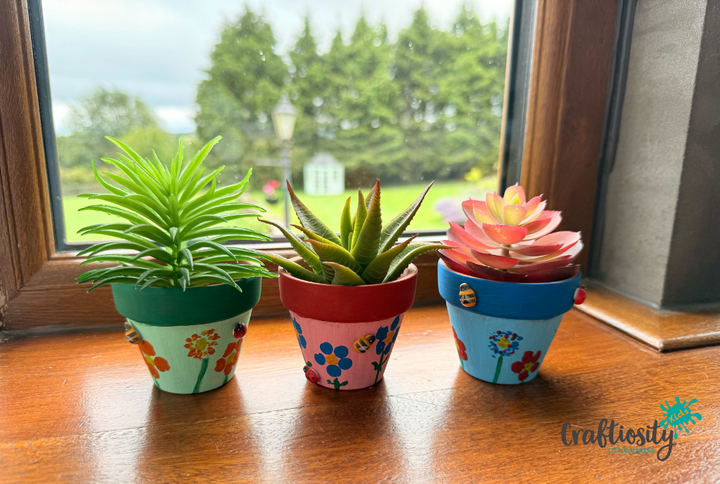 Craftiosity Kids – Painted Terracotta Flower Pot Craft Kit