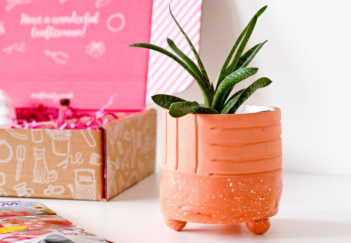 Terracotta Pot Craft Kit
