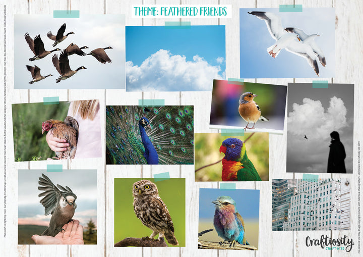 Inspiration Moodboard: Feathered Friends