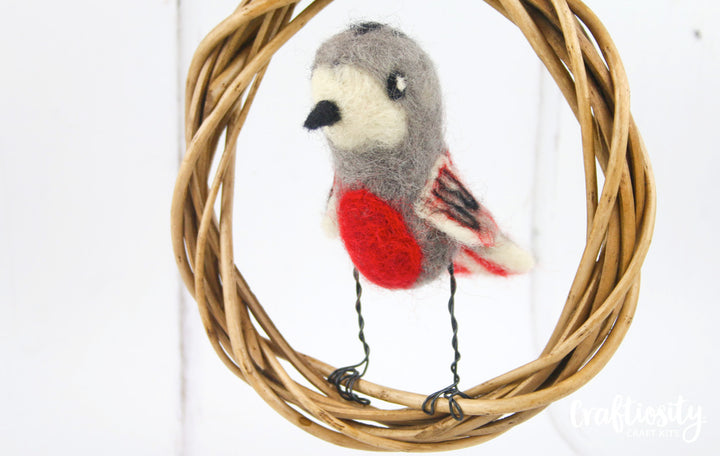 Needle Felted Bird Craft Kit