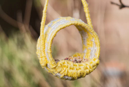 Bird Feeder Craft Kit