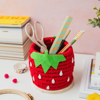 The Strawberry Rope Pot Craft Kit