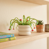 The Beaded Plant Little Makers Kit
