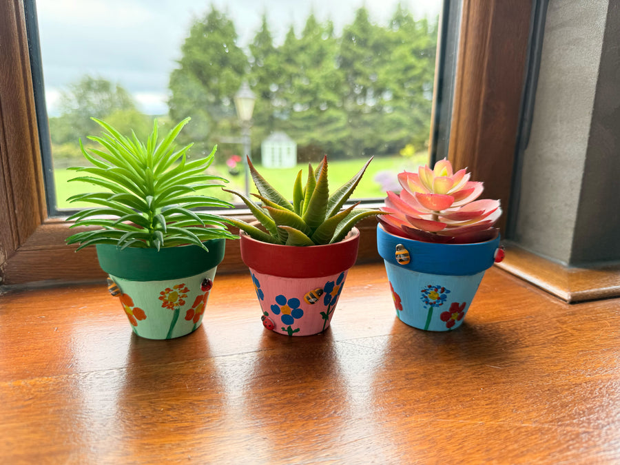Terracotta Plant Pot Kit For Kids (Digital Instructions)