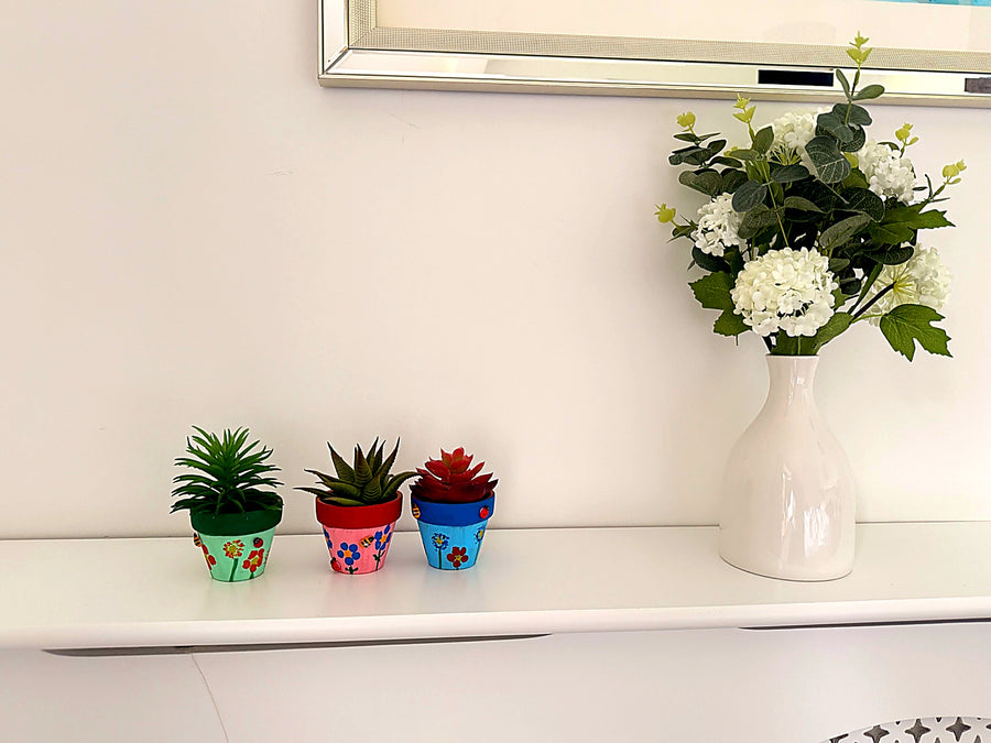 Terracotta Plant Pot Kit For Kids