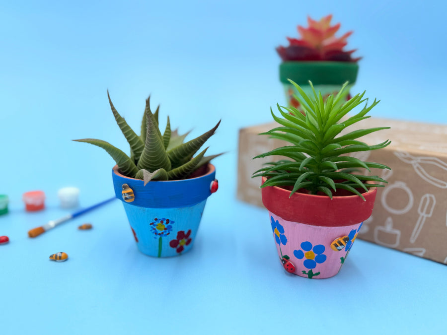 Terracotta Plant Pot Kit For Kids (Digital Instructions)